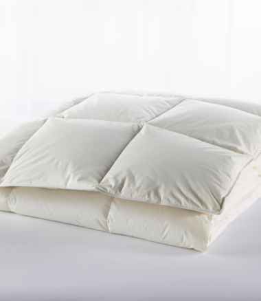 Box-Stitch Goose Down Comforter, Warmer
