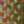 Harvest Multi, color 2 of 7