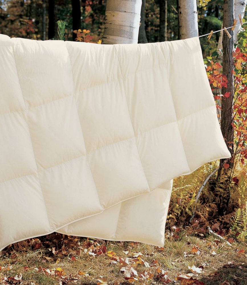 Box-Stitch Goose Down Comforter, Warm, Cream, small image number 4