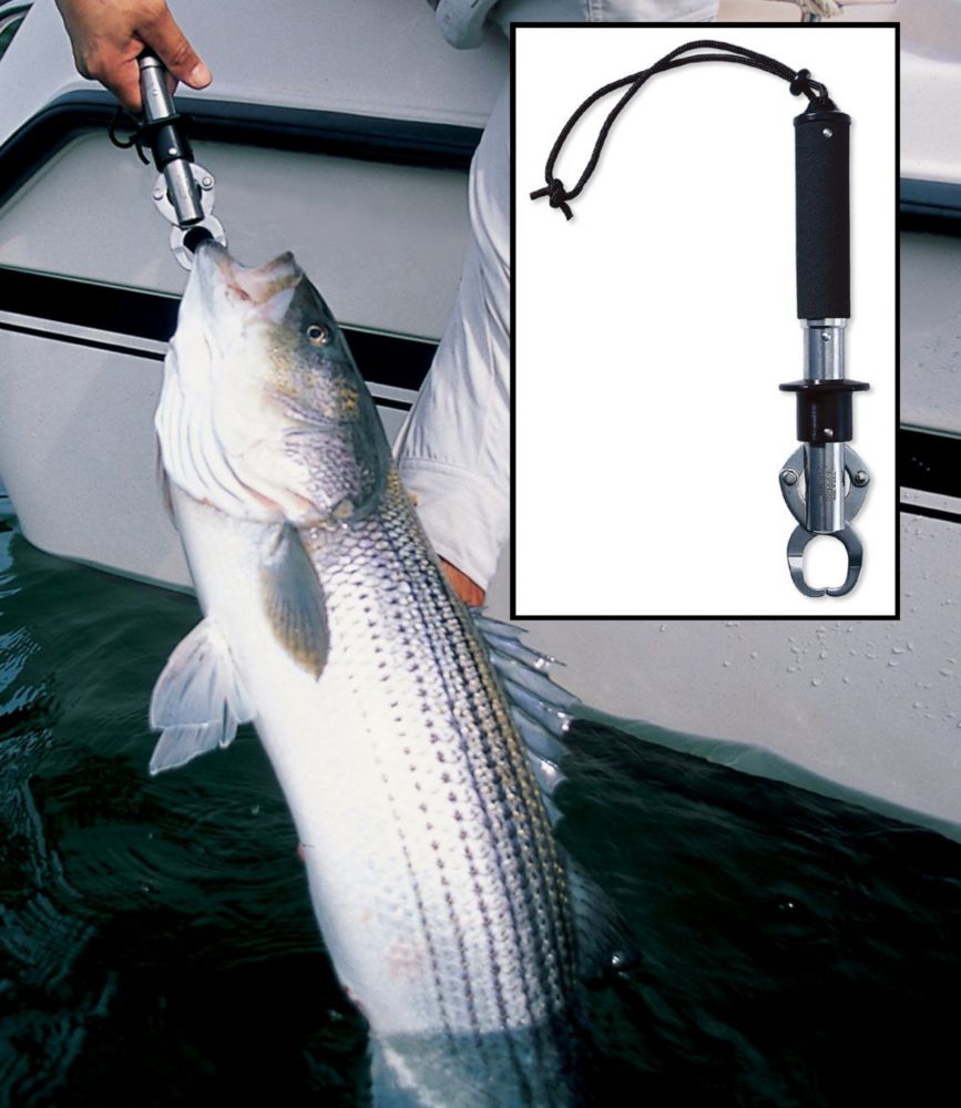 boga grip belt holder