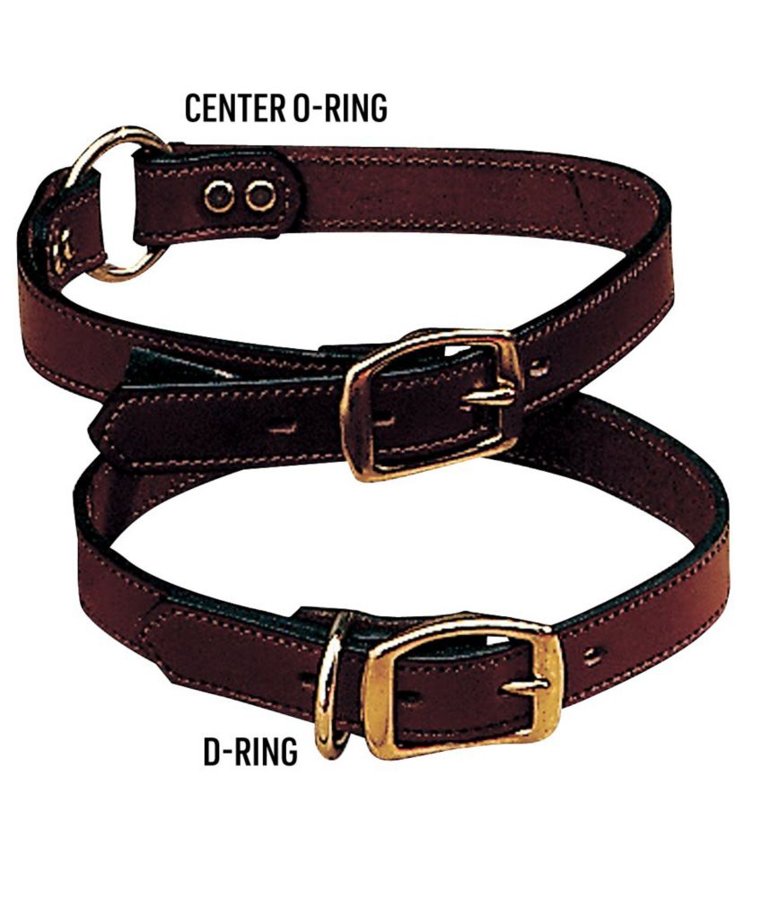 llbean dog collars