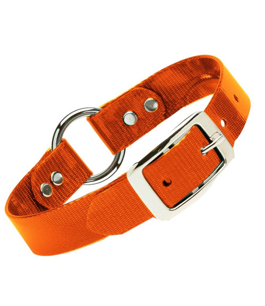 llbean dog collars