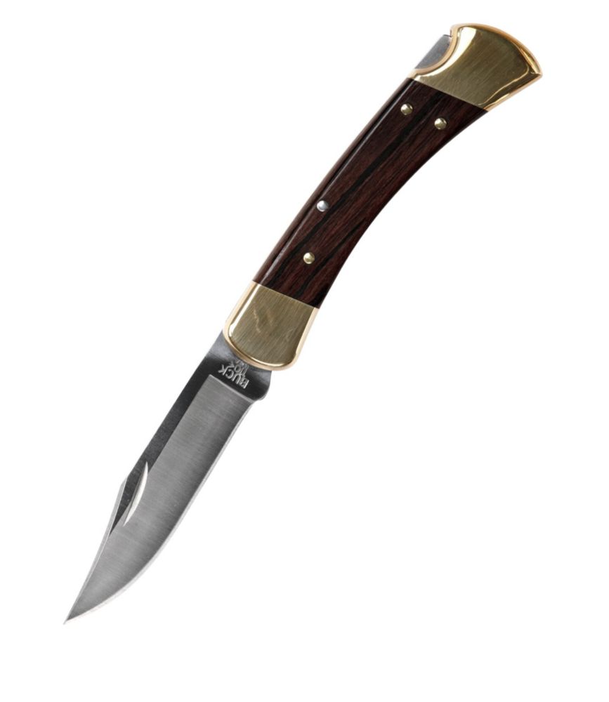 Buck 110 Folding Hunter S Knife