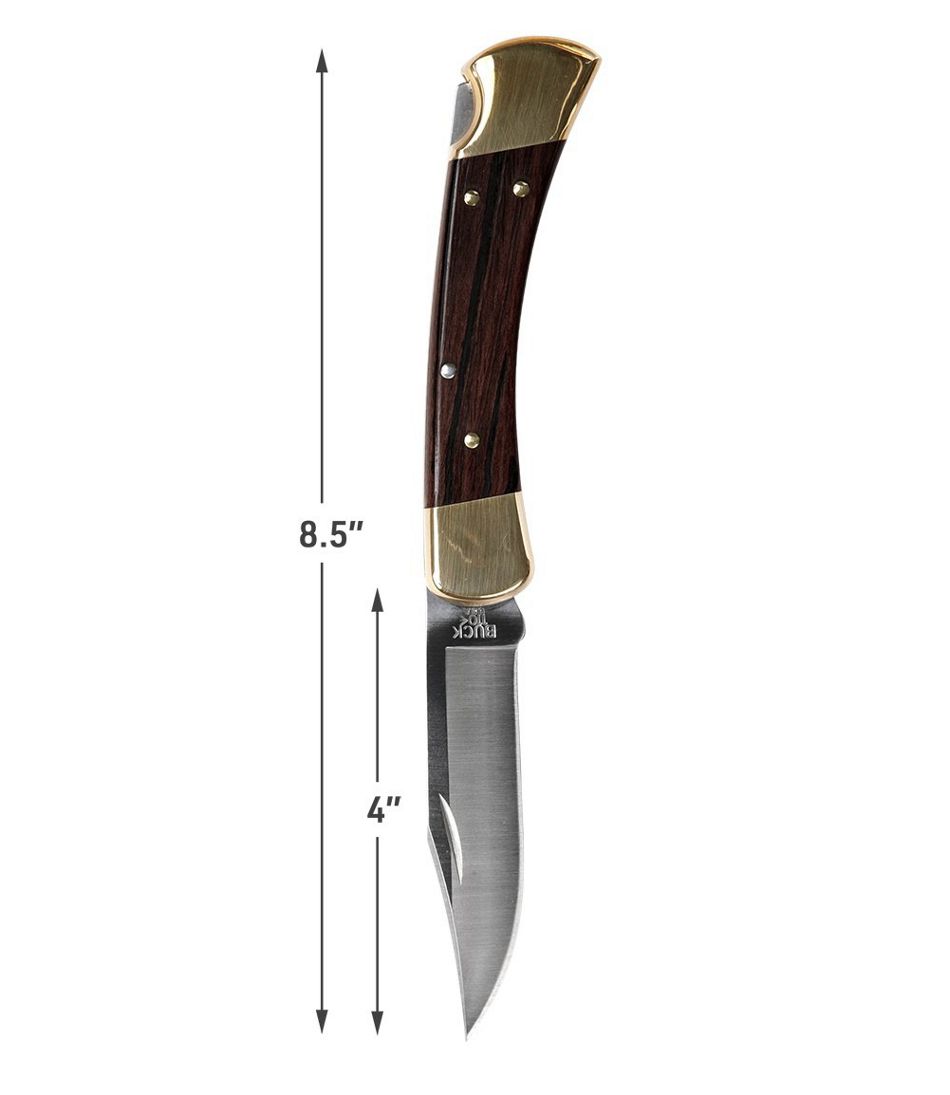 Buck Knives 110 Lockback Folding Hunter Knife