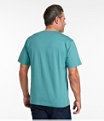 Men's Carefree Unshrinkable T-Shirt Slightly Fitted, Delta Blue, small image number 2