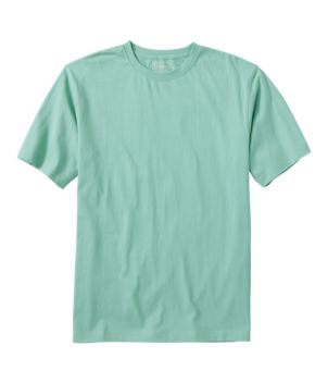 Men's Carefree Unshrinkable Tee, Traditional Fit Short-Sleeve