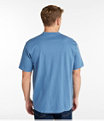 Men's Carefree Unshrinkable Shirt, Henley, Charcoal Heather, small image number 2