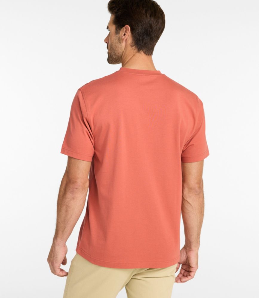 Men's Carefree Unshrinkable Tee, Traditional Fit, Henley