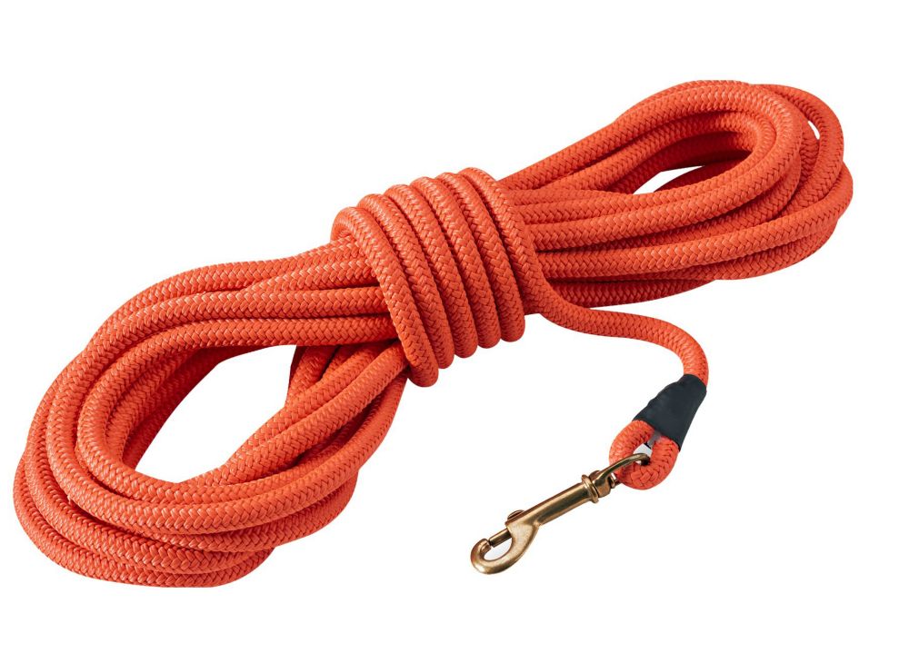 Check Dog Cord | Accessories at L.L.Bean