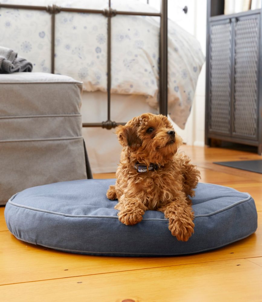 dog bed next to bed