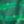 Darkest Green Gator, color 1 of 1