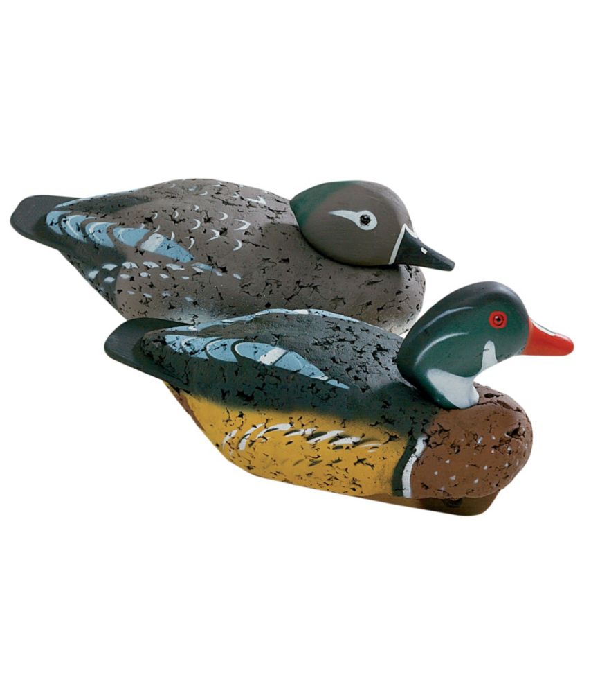 Coastal Decoy, Wood Duck Hunting at L.L.Bean