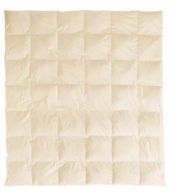 Additional View, view 2 of 4