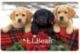 Holiday Puppies