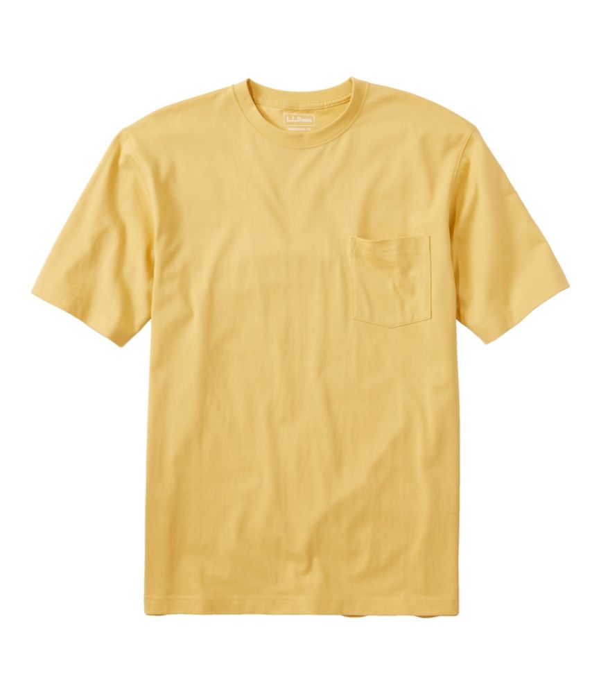 Men's Carefree Unshrinkable Tee with Pocket, Traditional Fit