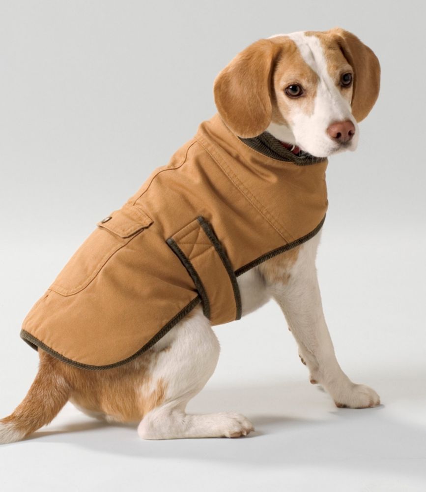 carhartt dog coat