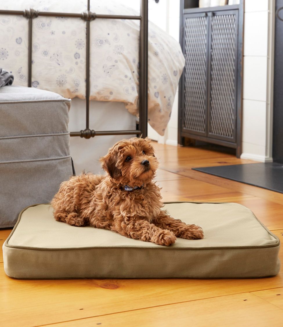 Therapeutic Dog Bed Rectangular at L.L. Bean