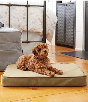 Therapeutic Dog Bed, Rectangular