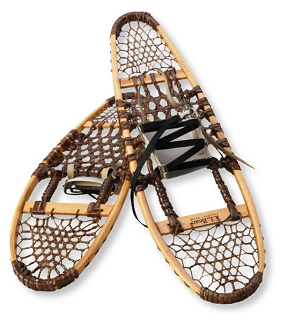 the best snowshoes