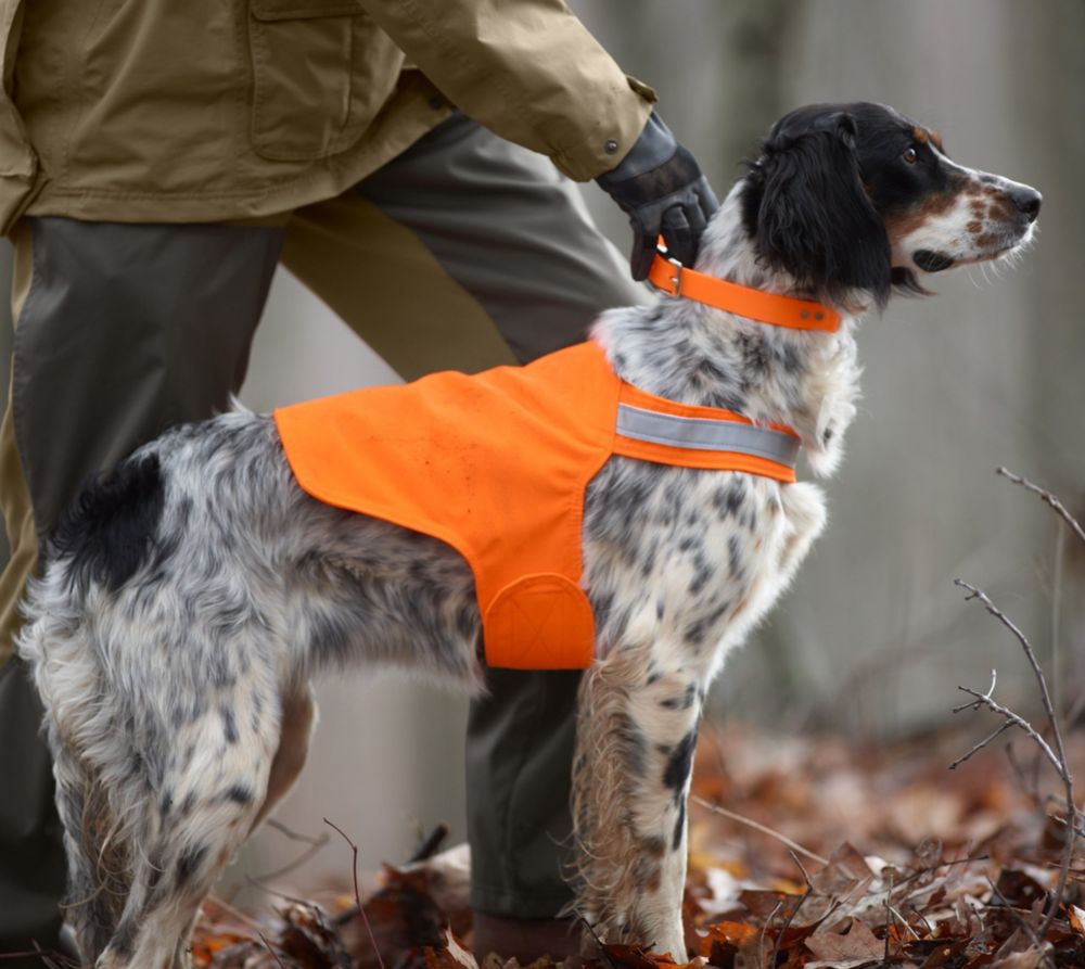 blaze orange dog hunting vest