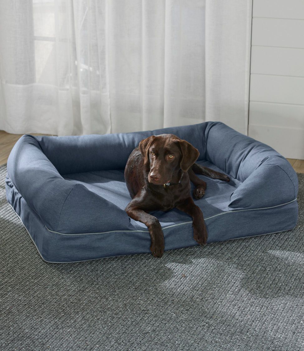 Gray store dog couch