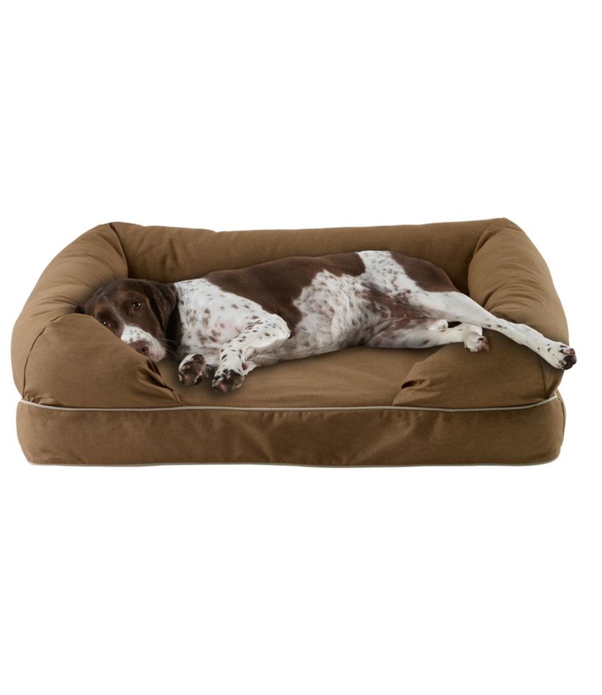 ll bean dog bed