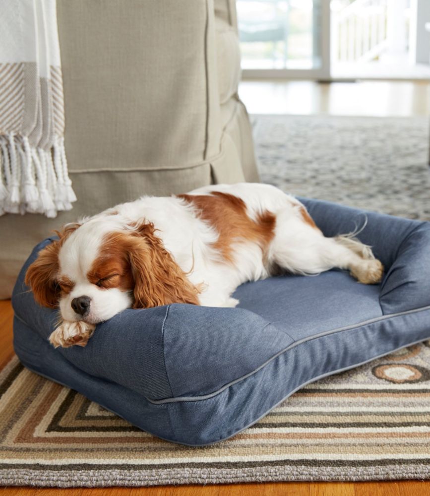Premium Dog Bed Replacement Cover, Couch Beds & Blankets at L.L.Bean