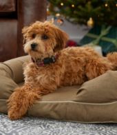 Ll bean hotsell therapeutic dog couch