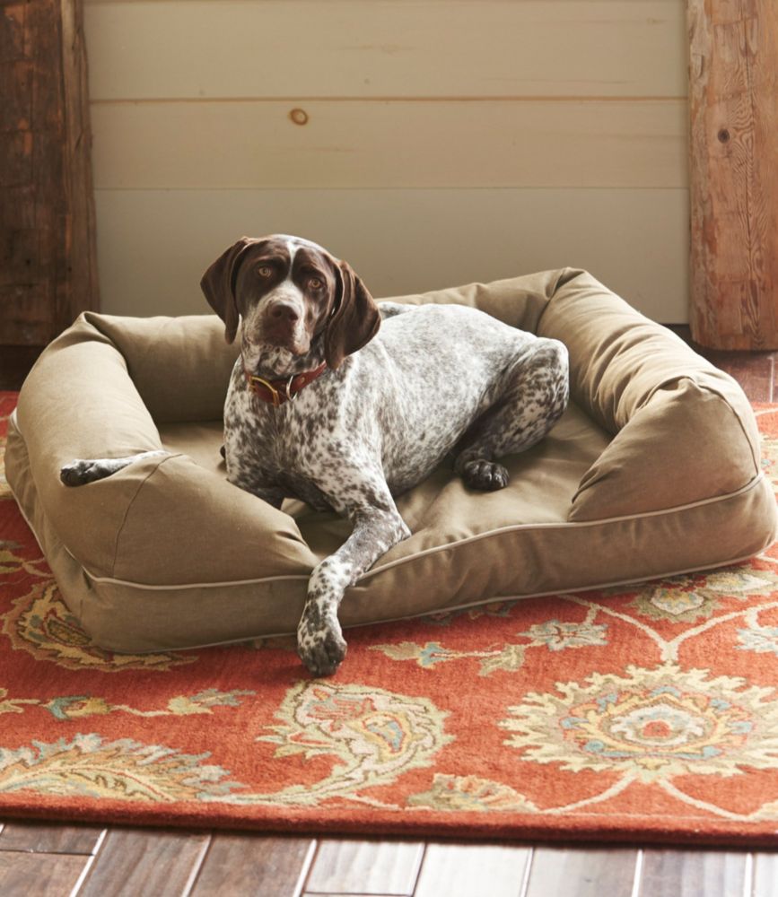where to buy dog beds