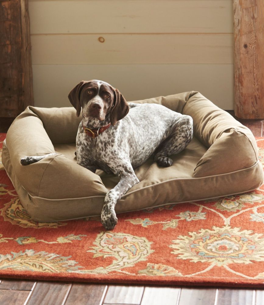 ll bean dog bed