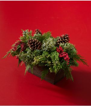 Woodland Canella Berry Centerpiece, Regular, New