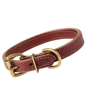 Boyt High Prairie Leather Dog Collar