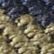 Navy/Thyme