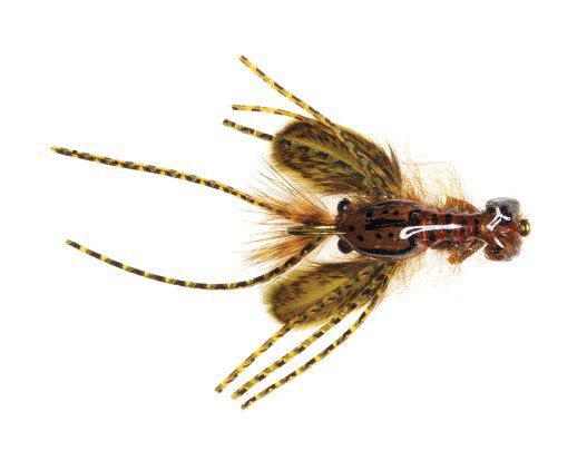 Hada's Creek Crawler