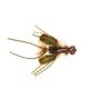 Bass & Pike Flies