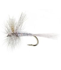 Prince Nymph - 2 Pack - FishUSA