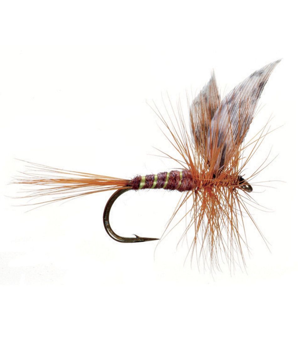 March Brown American 2 Pack
