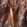  Color Option: Flashback Pheasant Tail, $4.25.
