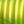 Chartreuse, color 3 of 3