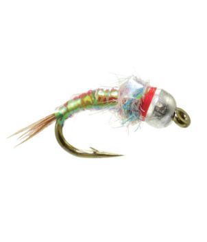 Rainbow Warrior Egan's Tungsten 2 Pack