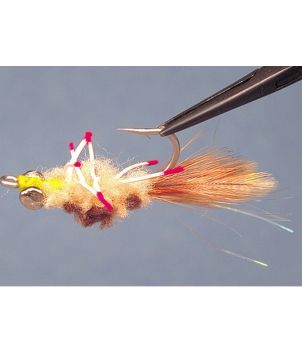 Permit Crab Tan Del Brown 1 Pack