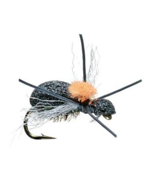 Fat Head Beetle, 2-Pack