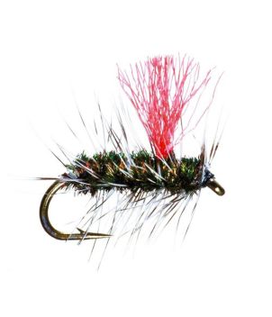 San Juan Worm, 2-Pack