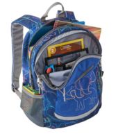 Ll bean glow shop in the dark backpack