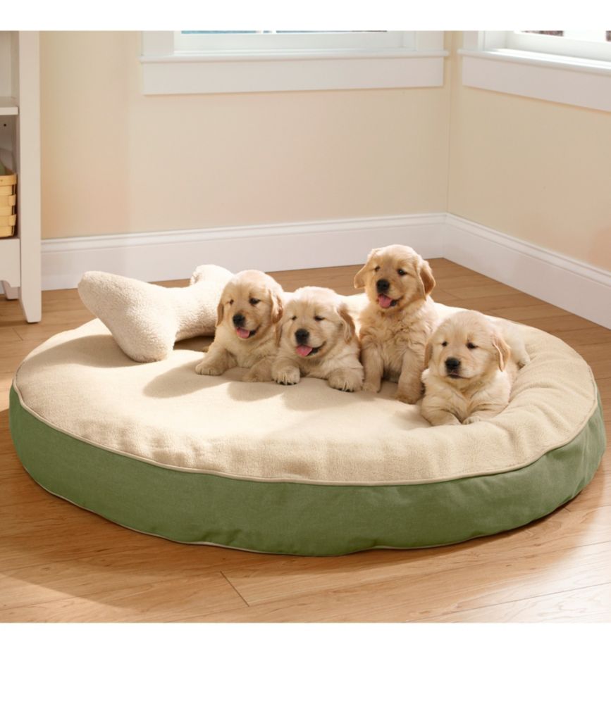 ll bean dog bed