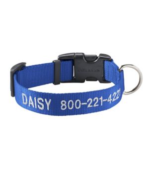 Novelty best sale dog collars