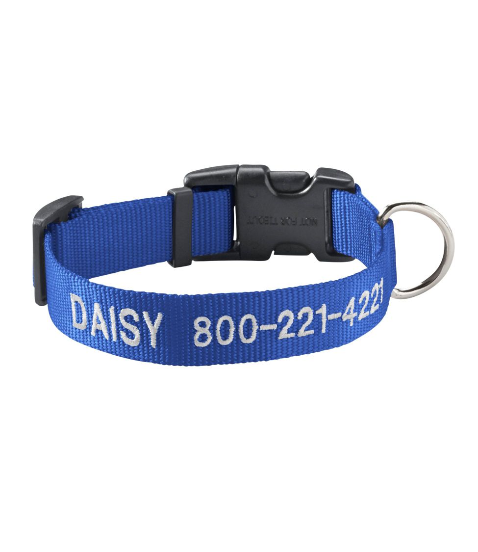 Dog collar outlet embroidered name