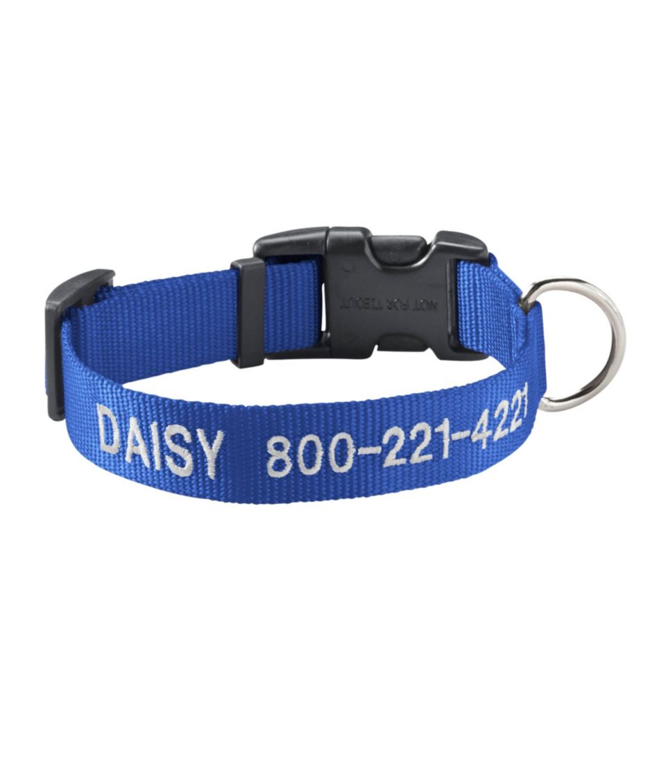 dog collar with name