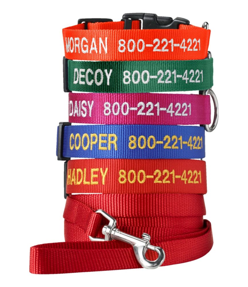 Personalized Pet Collar