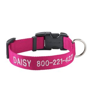 Personalized Pet Collar